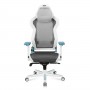 Кресло игровое Dxracer AIR series AIR/D7200/WQ.G RCC1S/N сетка, серо-бело-голубого цвета​