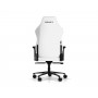 Кресло игровое DXRacer Craft Gaming Chair C001-W-N