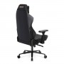 Кресло игровое DXRacer Craft Custom Gaming Chair Special Edition - Classic CRA/D5000/N